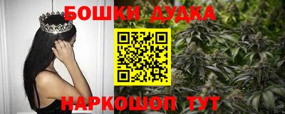 тгк Новозыбков