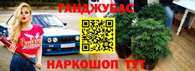 тгк Новозыбков