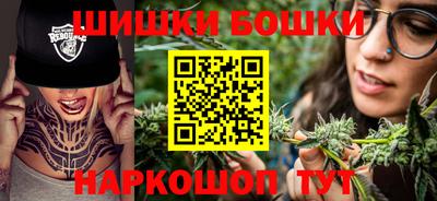 тгк Новозыбков