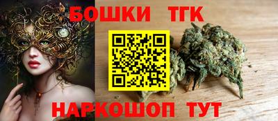 тгк Новозыбков
