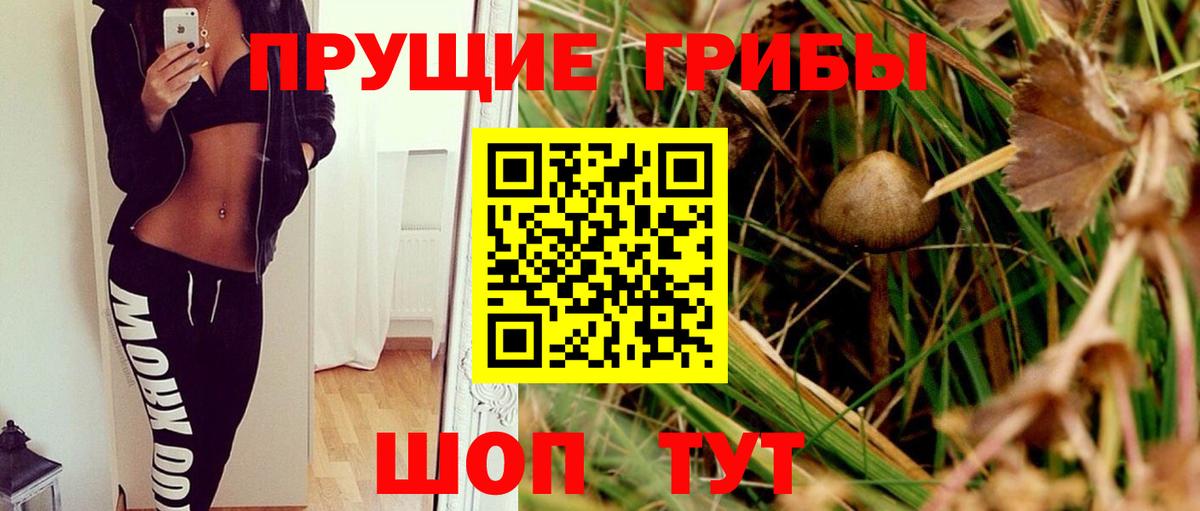 Галлюциногенные грибы мухоморы Сыктывкар