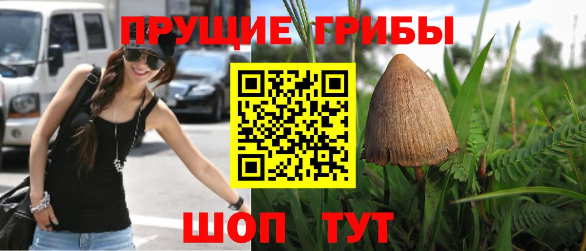 Галлюциногенные грибы мицелий  Вход с VPN  Псилоцибиновые грибы ЛСД  Сыктывкар 